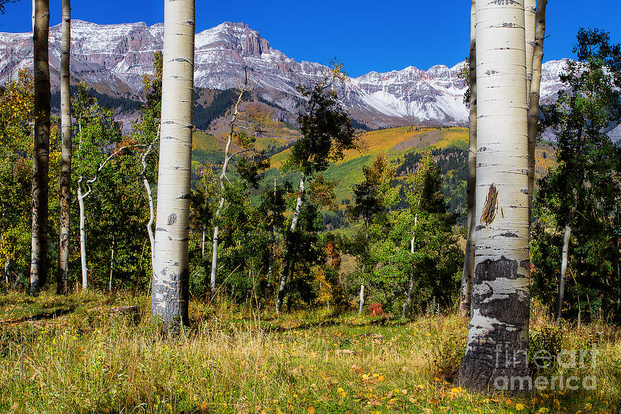 A Vision of Telluride Photograph by Jim Garrison
