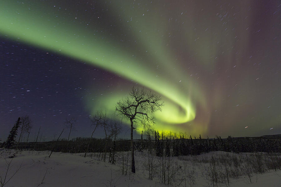 Winter Photograph - A Vortex of Auroras by Tim Grams