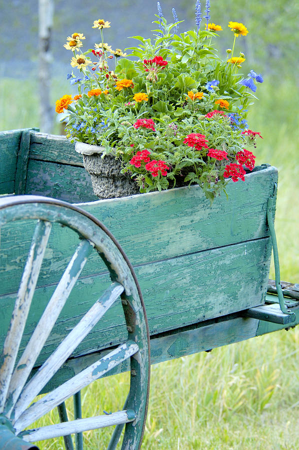 Flower Photograph - A Wagon Full Of Spring Flowers by Kriss Russell