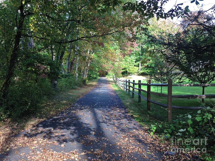 A Walk Along A Country Road Photograph by Christy Gendalia