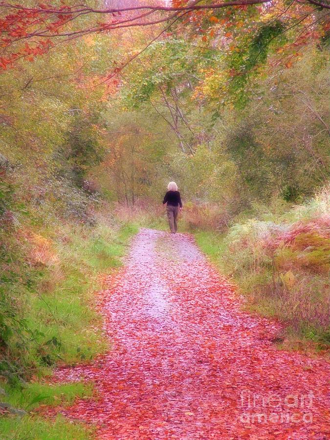 A walk in Autumn Photograph by Joe Cashin