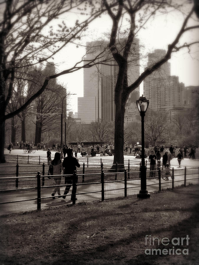 A Walk in Central Park - Antique Appeal Photograph by Miriam Danar