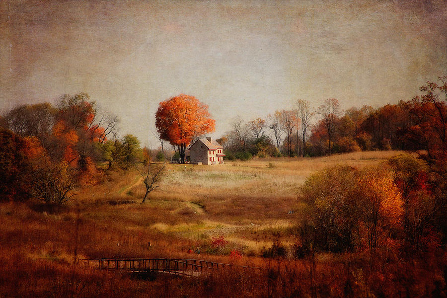 A Walk in the Meadow with Texture Photograph by Trina  Ansel