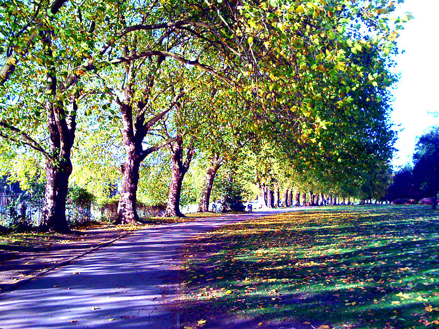A Walk In The Park Digital Art - A Walk in the Park by Andrew Selby