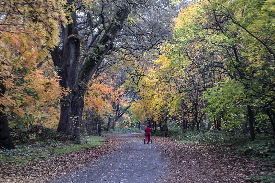 A Walk in the Park Photograph by Richard Verkuyl