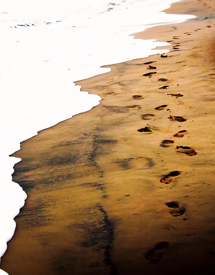 A Walk in the Sand  Digital Art by Kara  Stewart