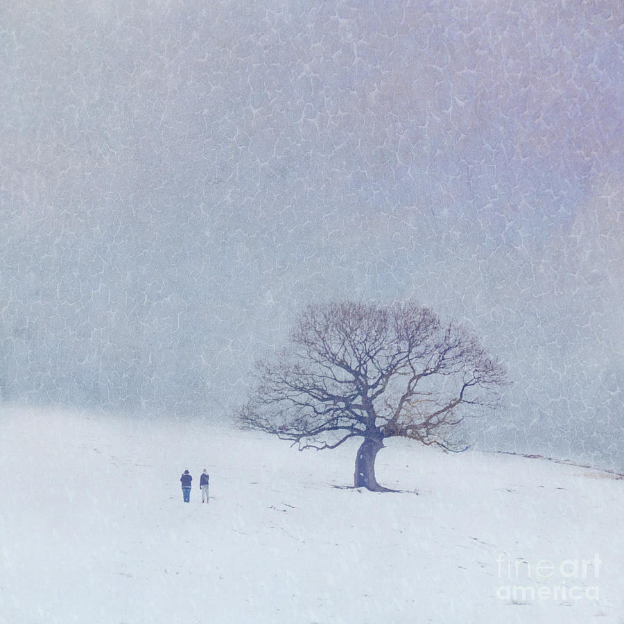 A walk in the snow Photograph by Lyn Randle