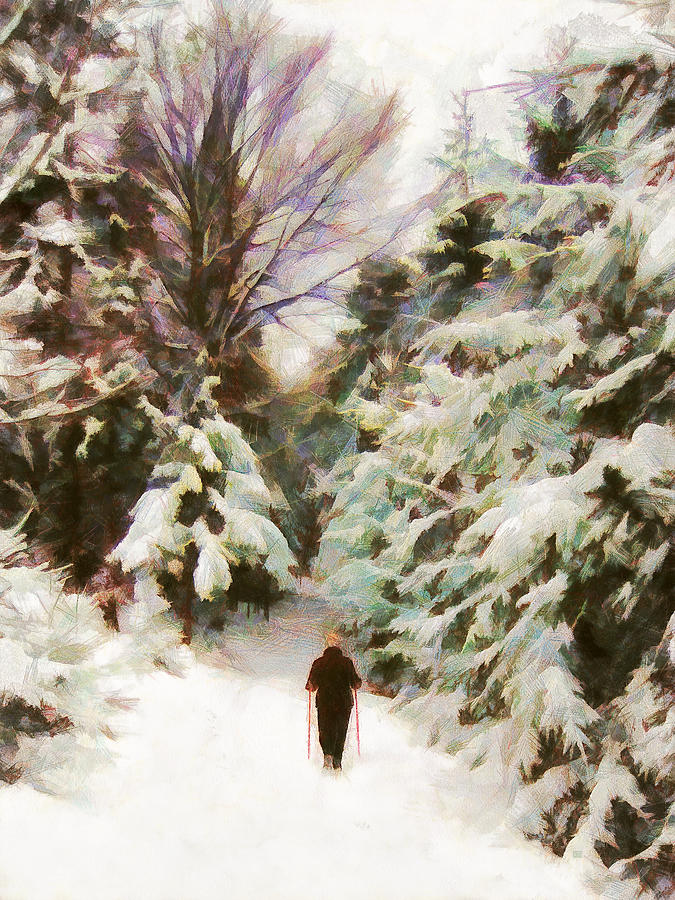 Tree Painting - A Walk in the Winter Woods by Menega Sabidussi