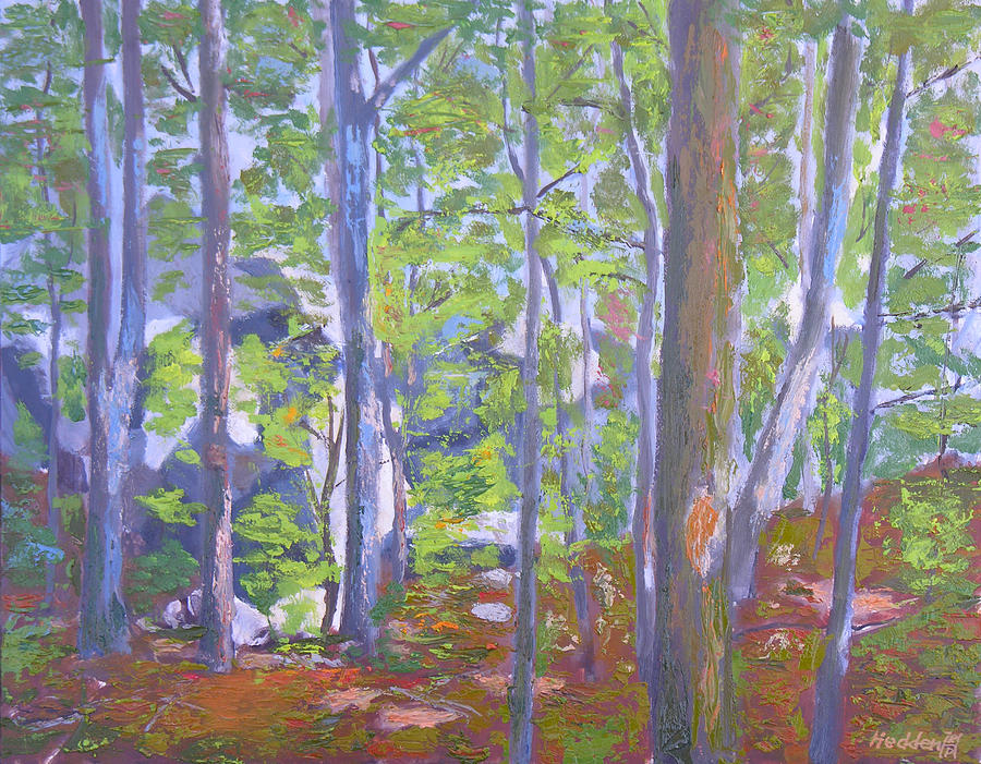 Tree Painting - A Walk In The Woods by Robert P Hedden