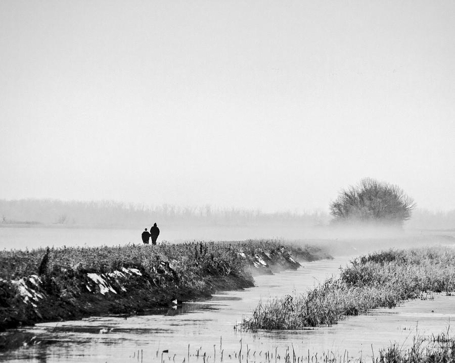 A Walk Into The Fog Photograph