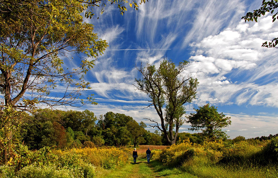 A Walk Through a Meadow Montgomery County Pennsylvania Photograph by A Macarthur Gurmankin