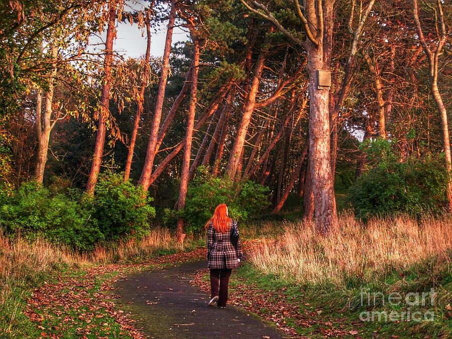 A Walk Through The Autumn Pinewoods Photograph by Joan-Violet Stretch