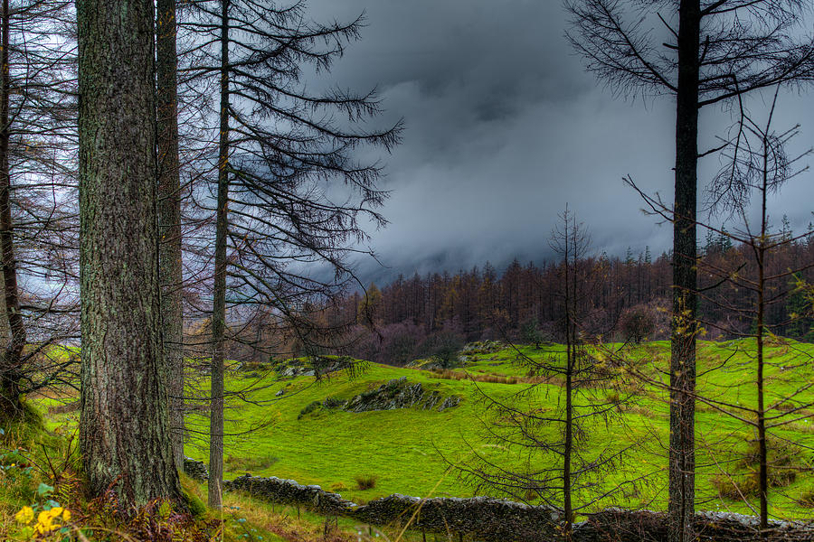 A Walk through The Lake District Photograph by Dennis Dame
