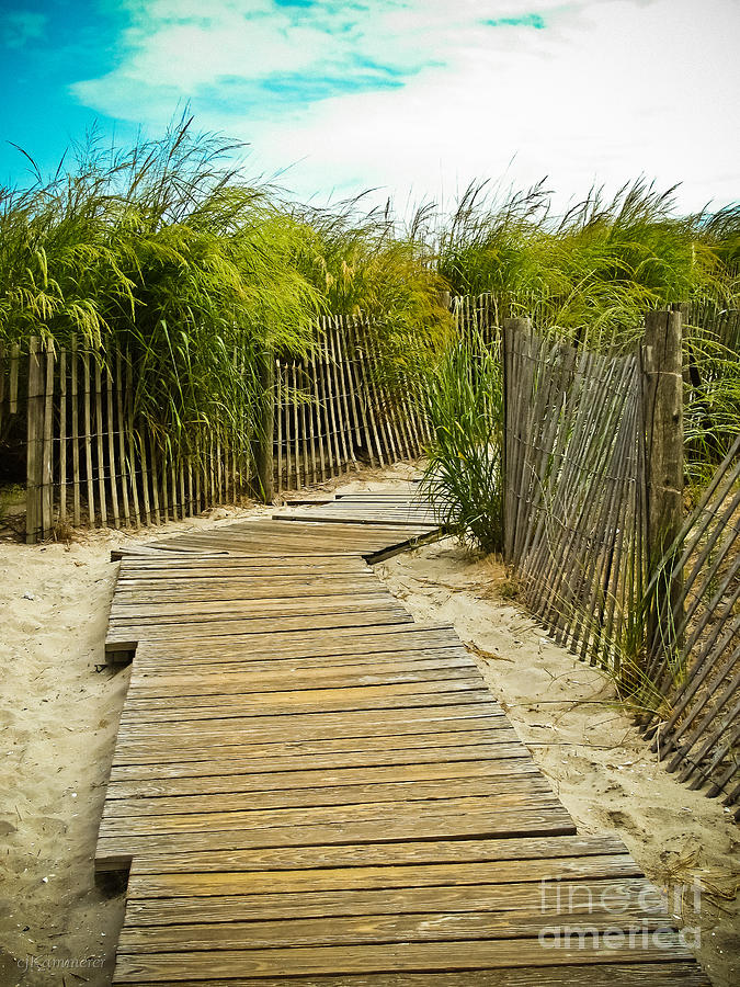 A Walk to the Beach Photograph by Colleen Kammerer