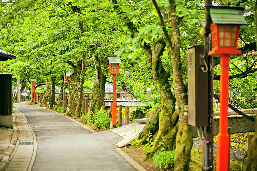 A Walking Path In Kinosaki Japan Photograph by Adam Hester