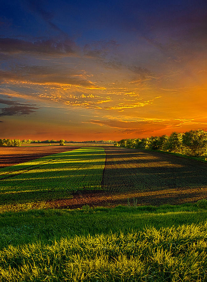 A Warm Feeling Photograph by Phil Koch - Fine Art America