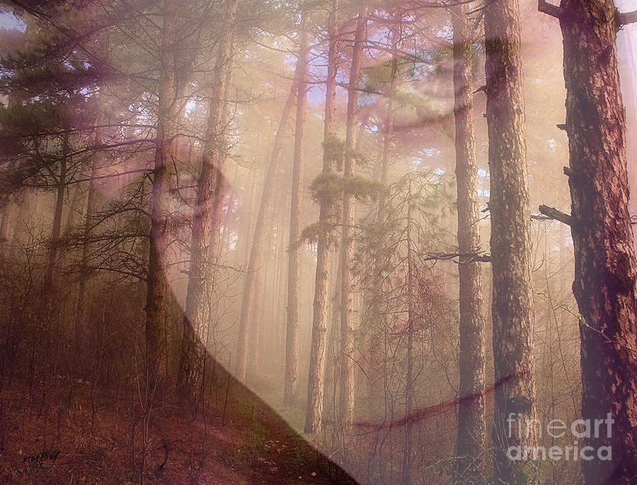 A Watchful Forest Digital Art by Ruby Cross