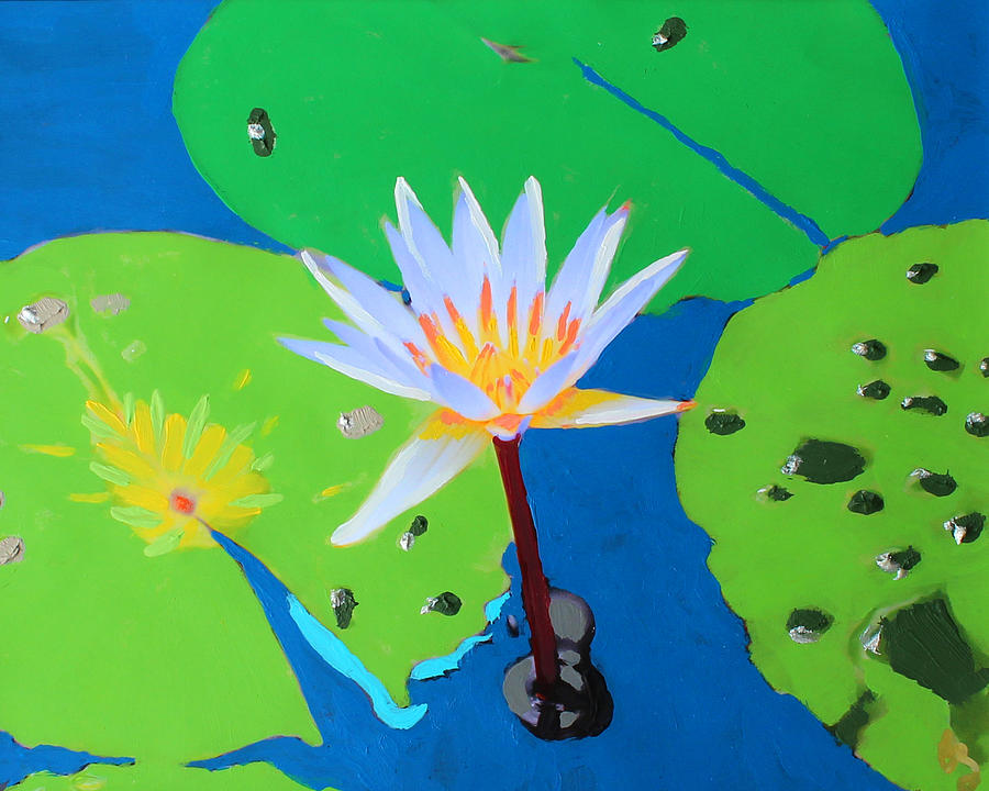 A Water Lily In Its Pad Mixed Media by Deborah Boyd