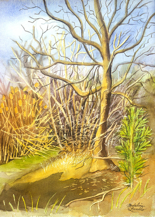 A Watercolor Tree in Jamaica Bay Painting by Madeline  Lovallo