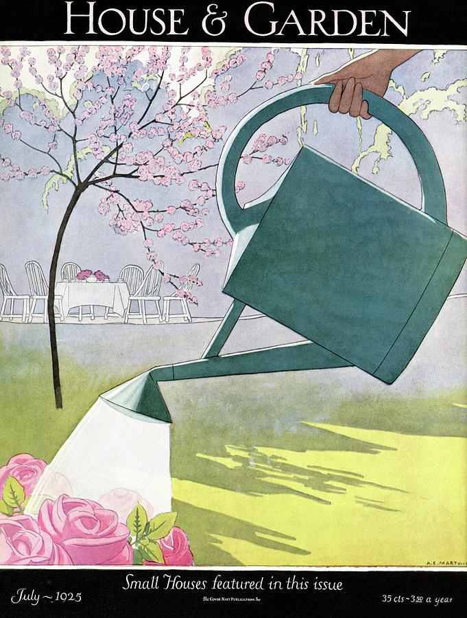A Watering Can Above Pink Roses Photograph by Andre E Marty