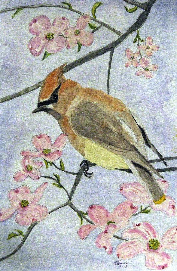A Waxwing In The Dogwood Painting by Angela Davies