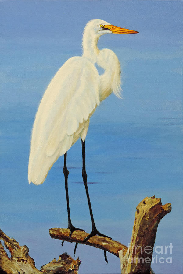 A White Egret Painting by Jimmie Bartlett