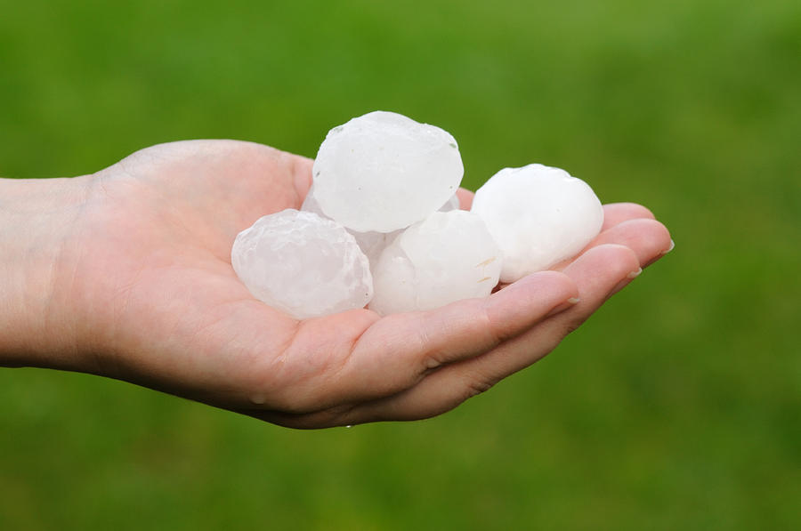 A white hand holding large hailstones on its palm Photograph by AlesVeluscek