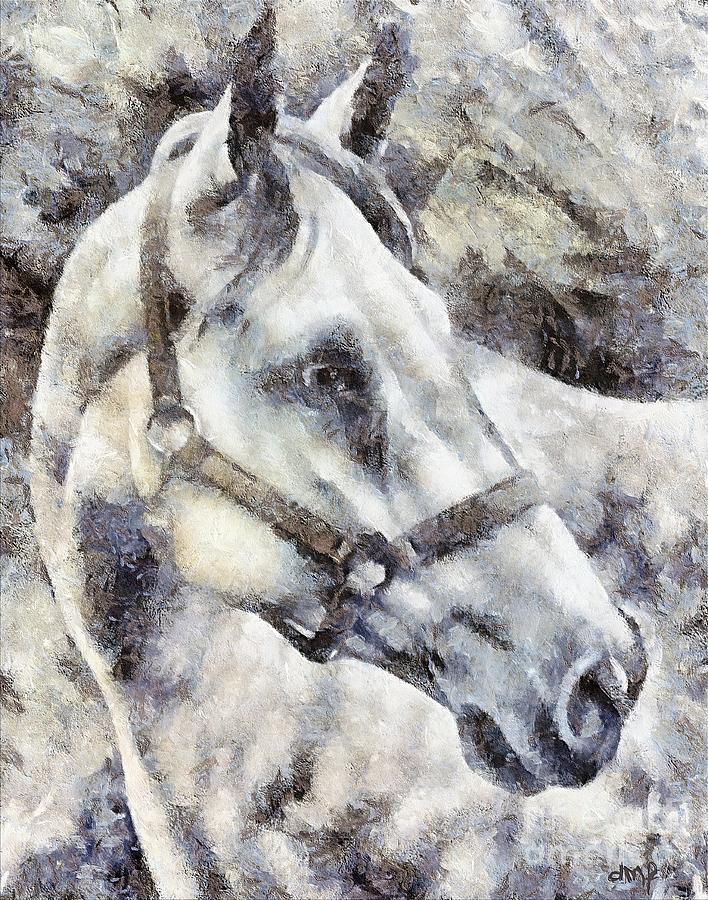A white Lipizzan horse Painting by Dragica  Micki Fortuna
