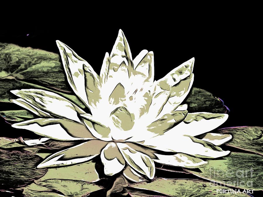 A  White Water Lily Digital Art by Dragica  Micki Fortuna