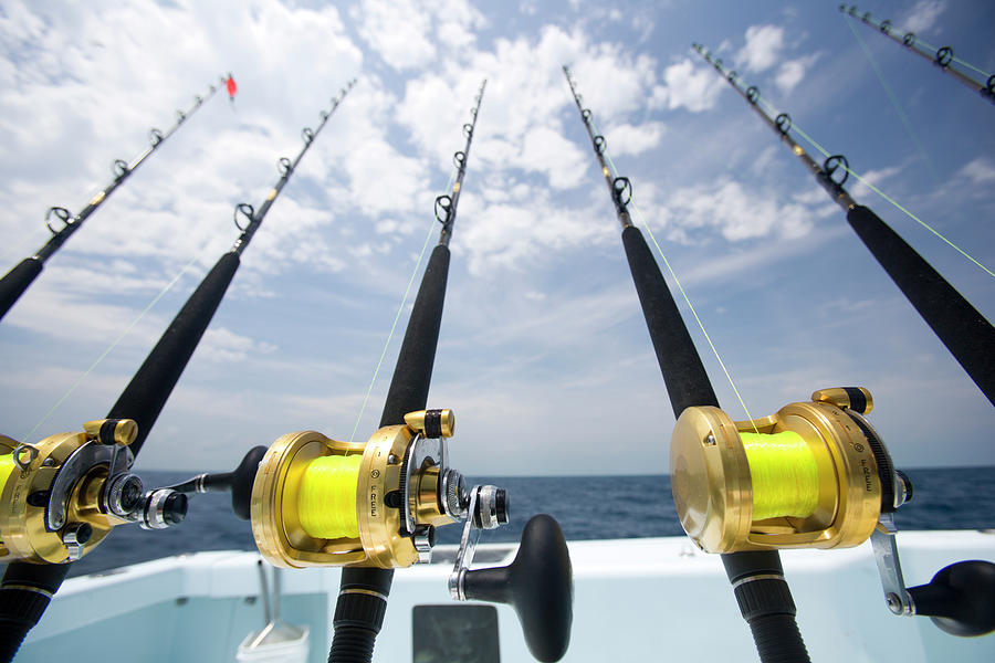 A Wide-angle Shot Of Deep Sea Fishing Photograph by Chris Ross