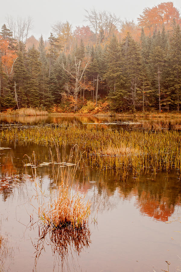 A Windham pond in the fall Photograph by Vance Bell