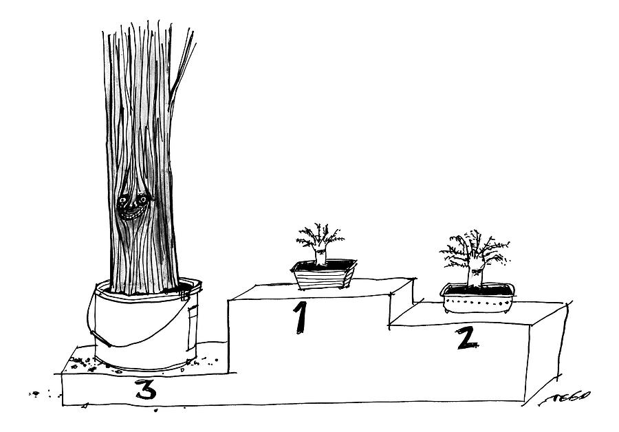 A Winners Podium That Features Three Plants Drawing by Edward Steed