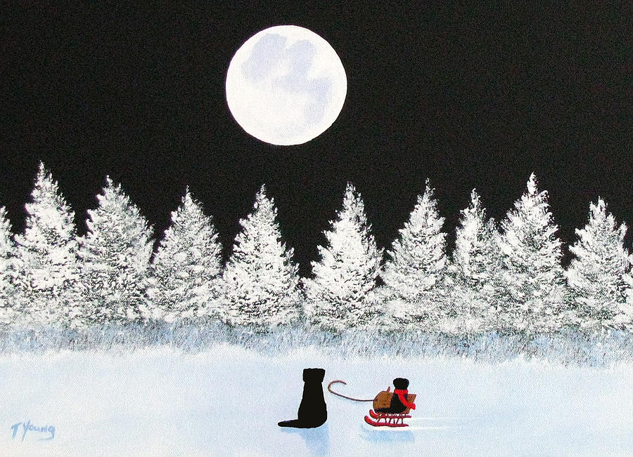 Curse of a Winter Moon by Mary Casanova