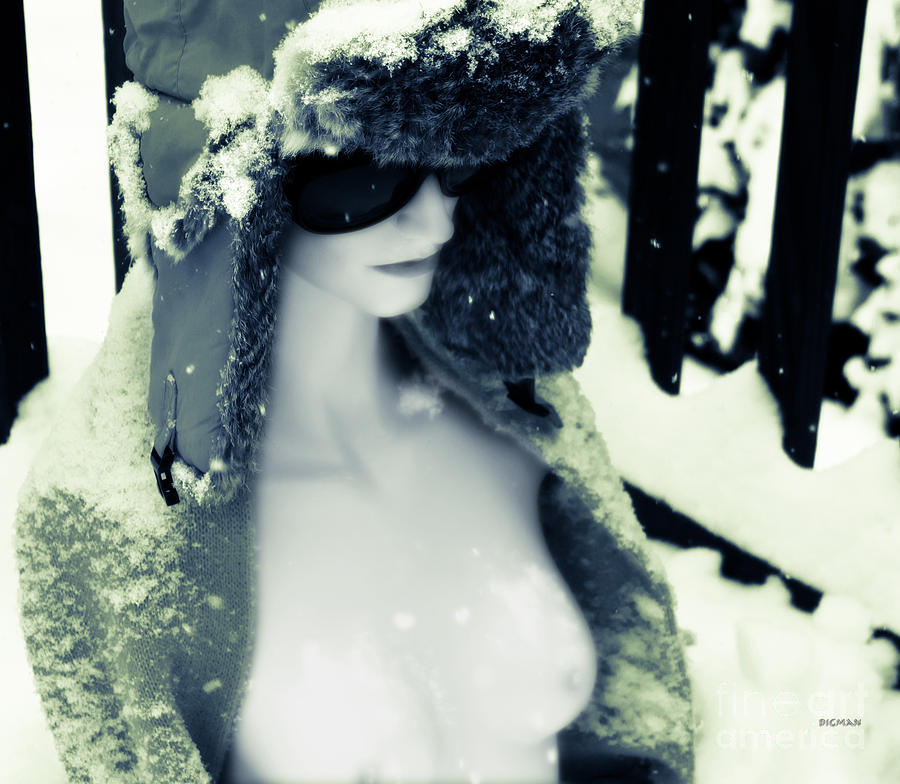 Winter Photograph - A Winter Pale by Steven Digman Winter Photograph - A Winter Pale by Steven Digman