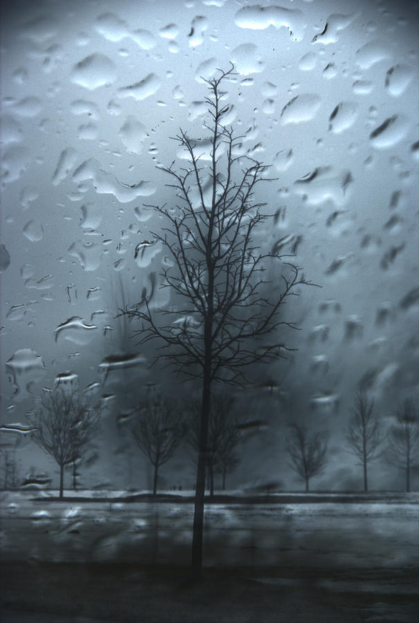 A Winter Rain to Forget Photograph by Kevin Eatinger