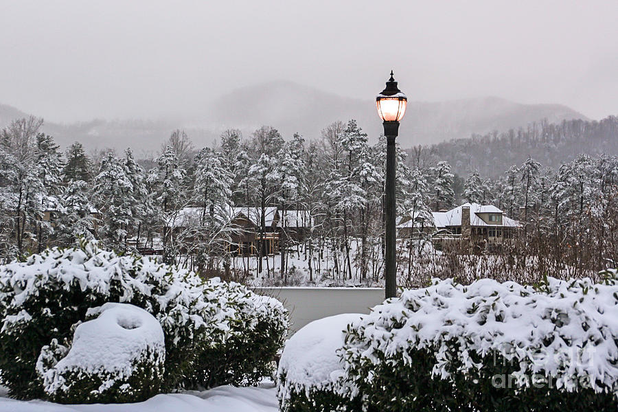 A Winter Scene Photograph by Deborah Scannell