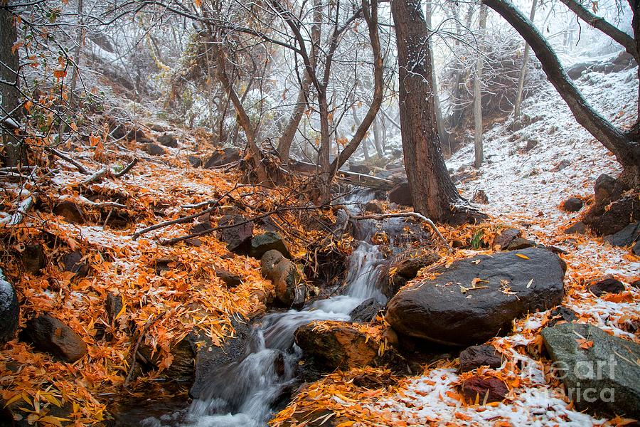 A Winter Scene in Jerome Arizona Photograph by Ron Chilston