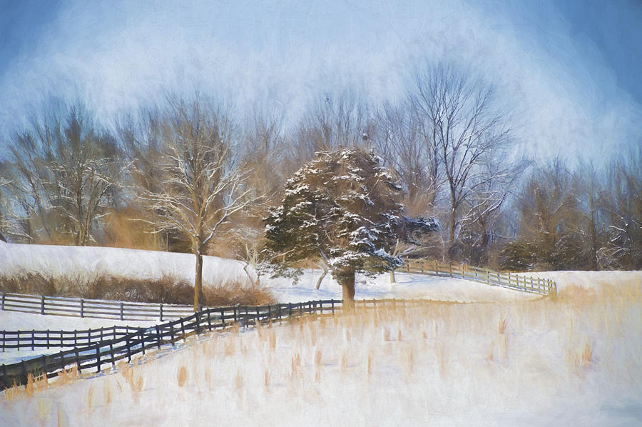 A Winter Scene Photograph by Kathy Jennings