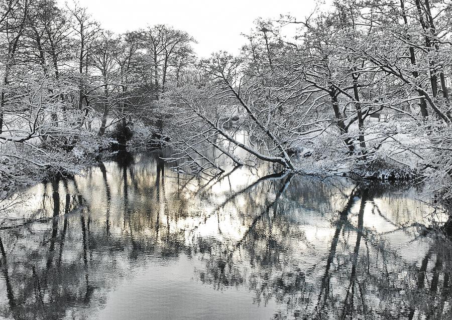 Winter Photograph - A winter scene by Paul Gulliver