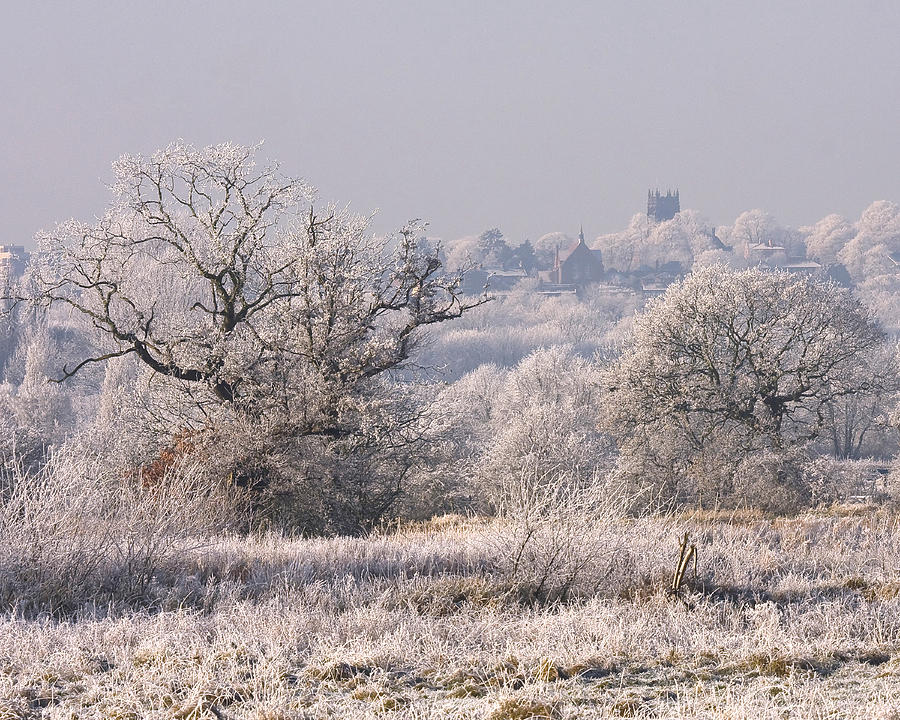A Winter Scene Photograph by Paul Scoullar