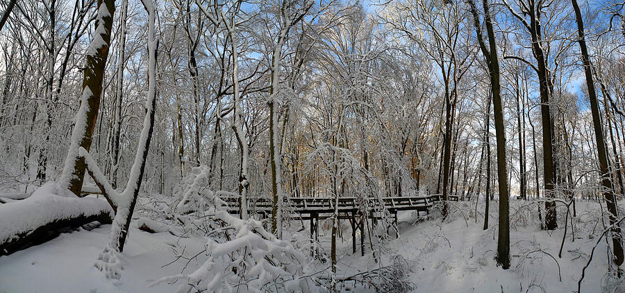 A Winter Scene Photograph by Raymond Salani III