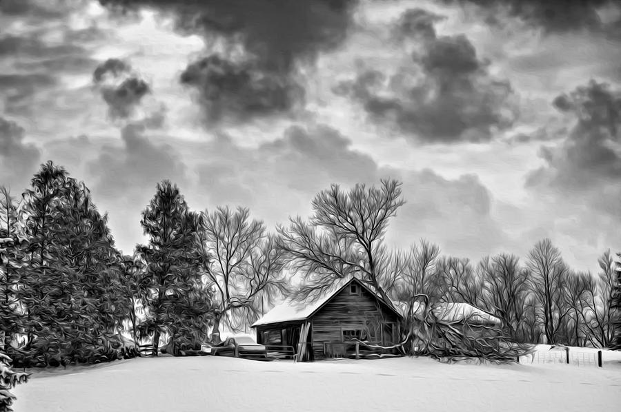 Winter Photograph - A Winter Sky - Oil bw by Steve Harrington