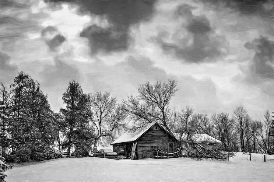 Winter Photograph - A Winter Sky - Paint bw by Steve Harrington