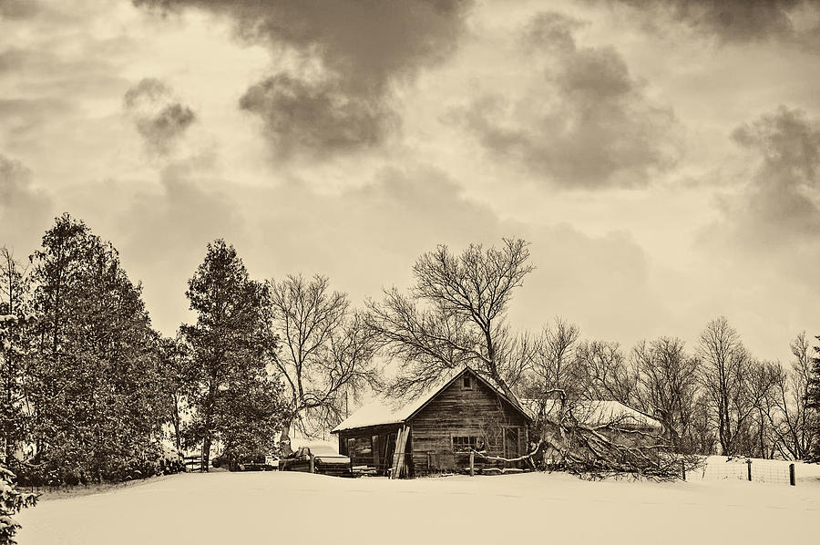 A Winter Sky sepia Photograph by Steve Harrington