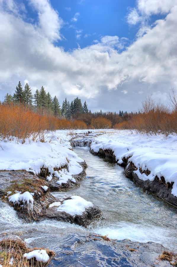 Landscape Photograph - A Winter Stream by Dennis Bolton