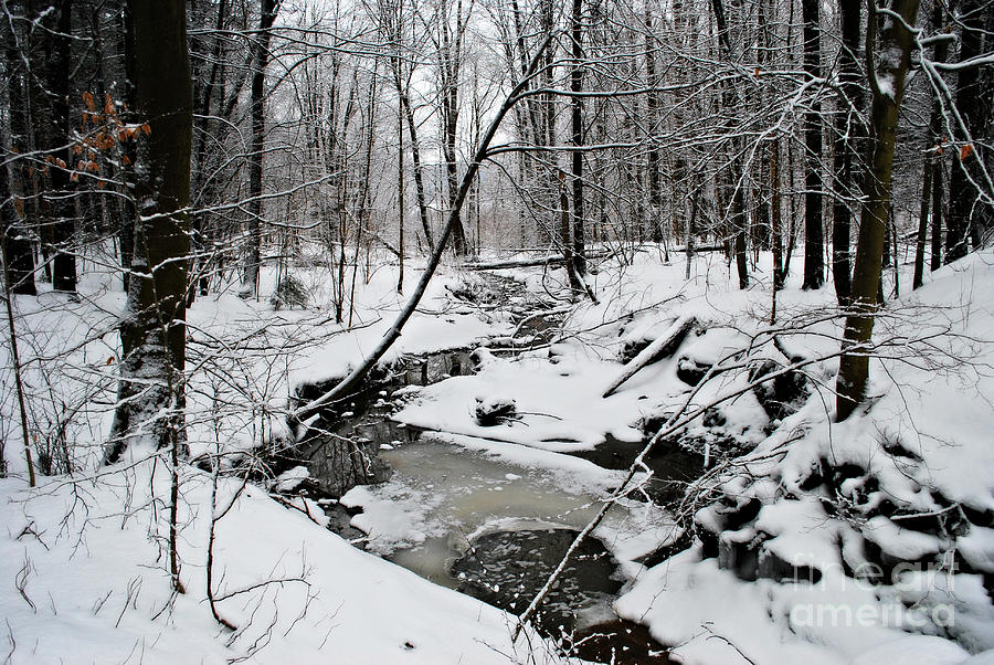 A Winter Stream Photograph by Lila Fisher-Wenzel