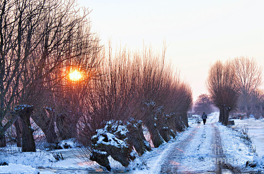 A winter wonderland walk Photograph by Casper Cammeraat