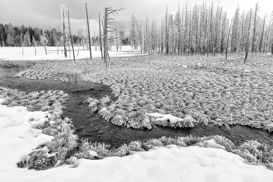 Yellowstone National Park Photograph - A Winters Afternoon in Yellowstone by Sandra Bronstein