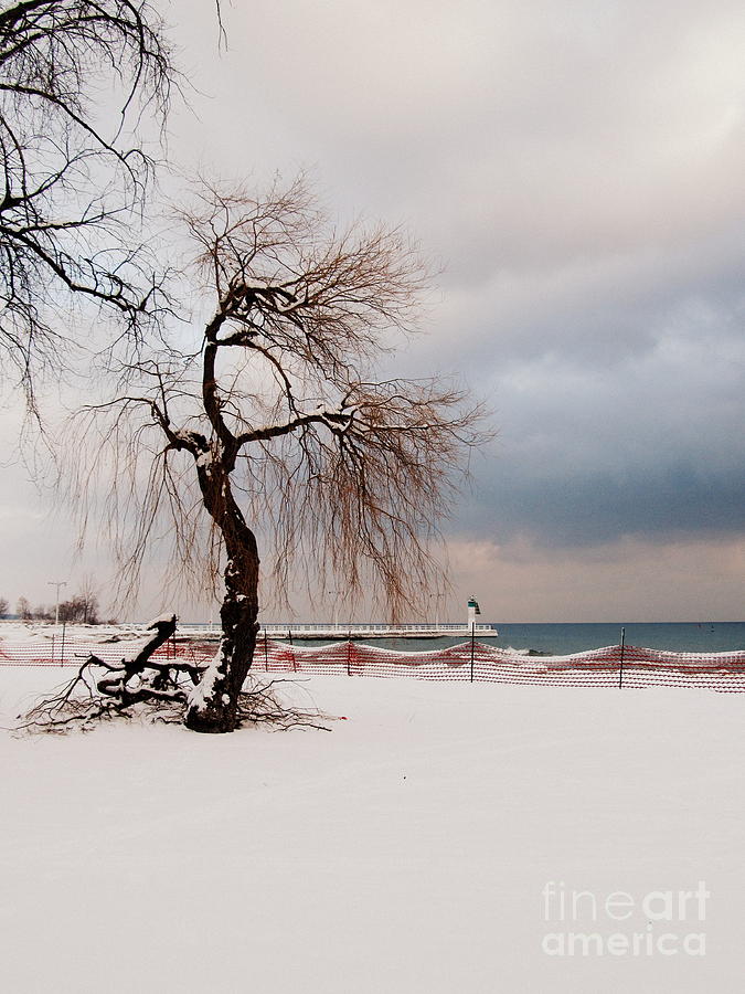 Winter Photograph - A Winters Day on Lake Ontario Canada by Avis  Noelle