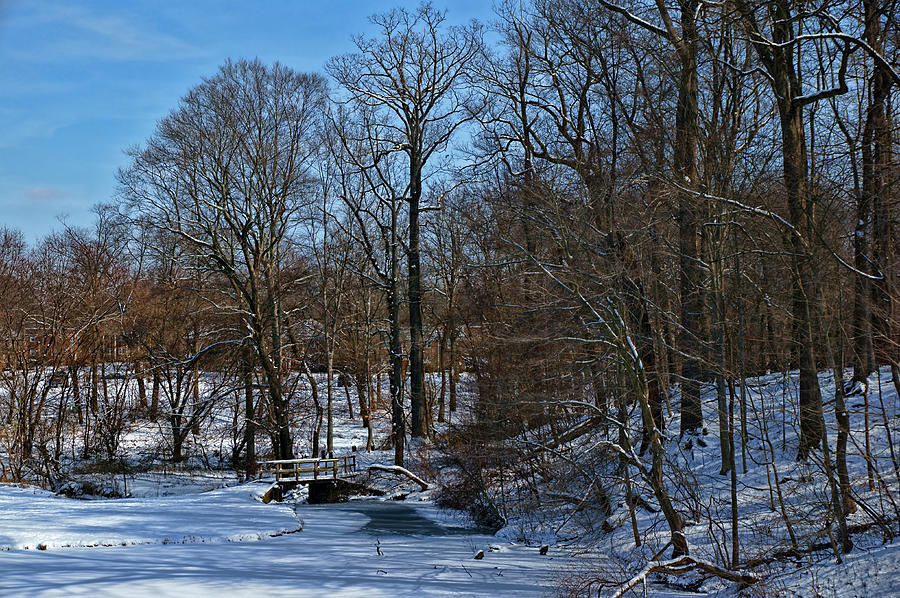 A Winter's Day Photograph by Lanis Rossi - Fine Art America